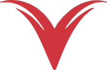 VTrainer